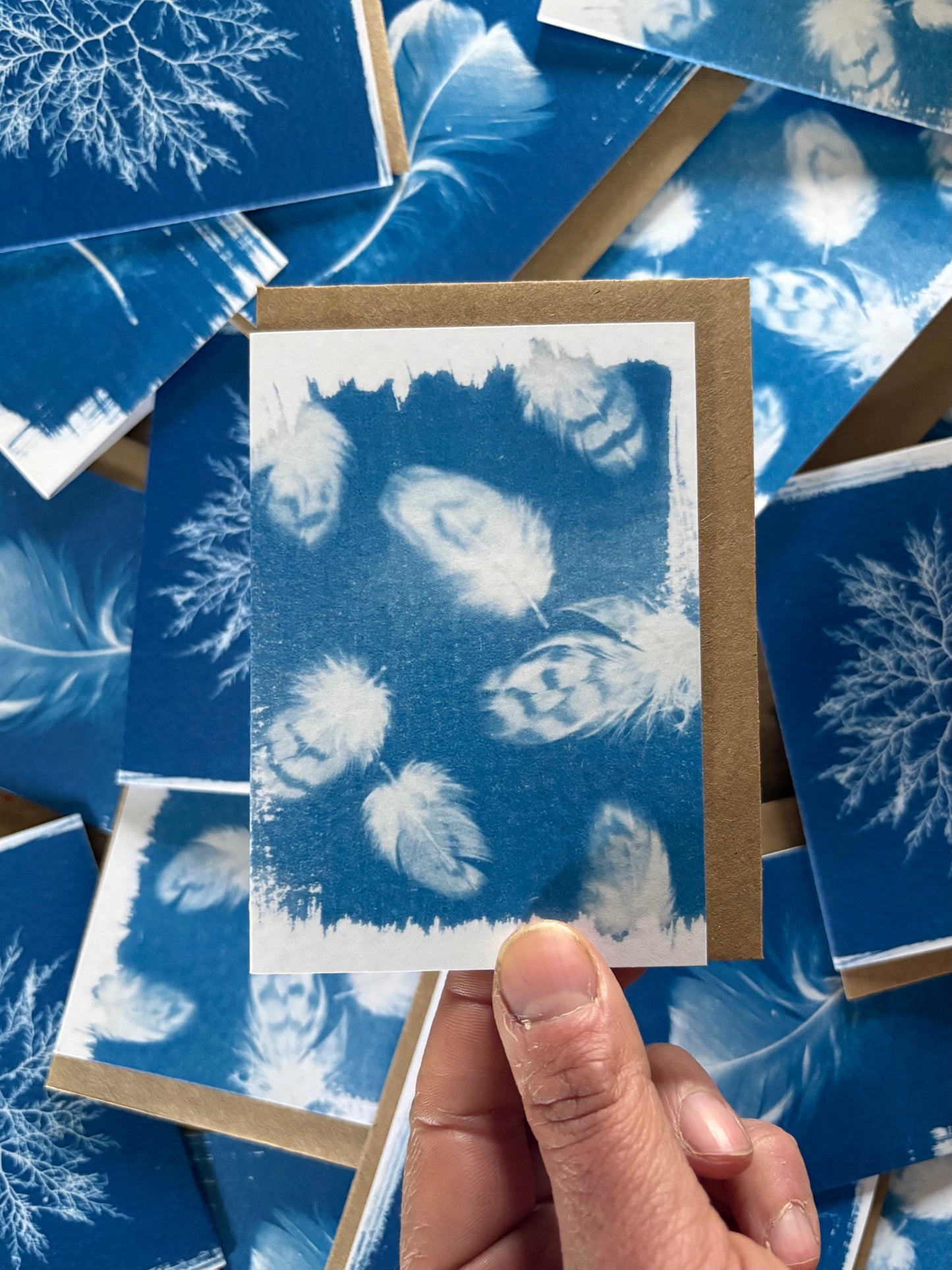 Mini Feathers - Cyanotype - A7 Blank Card