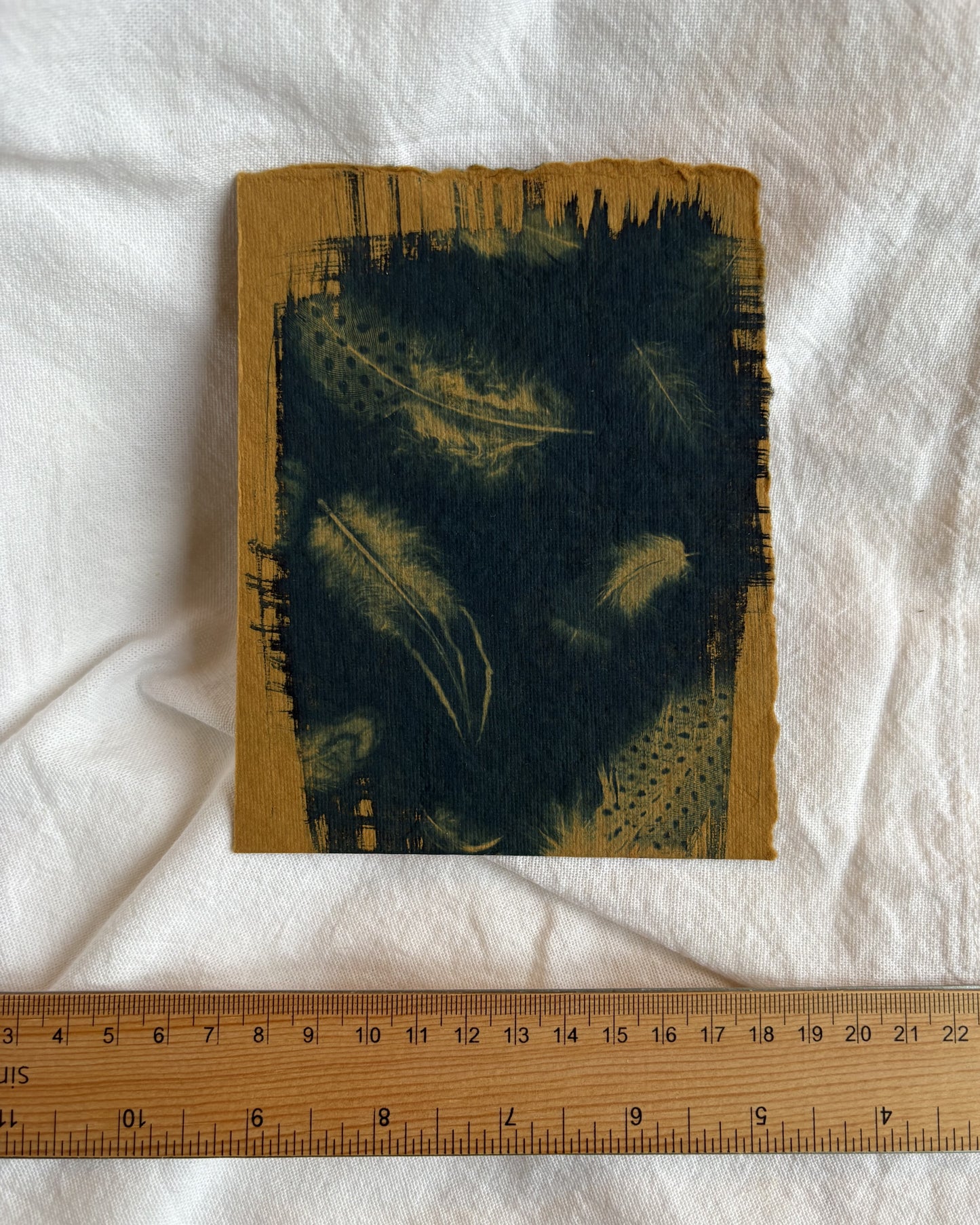 Tan Feathers 11x13.5cm (approx) - Original Print