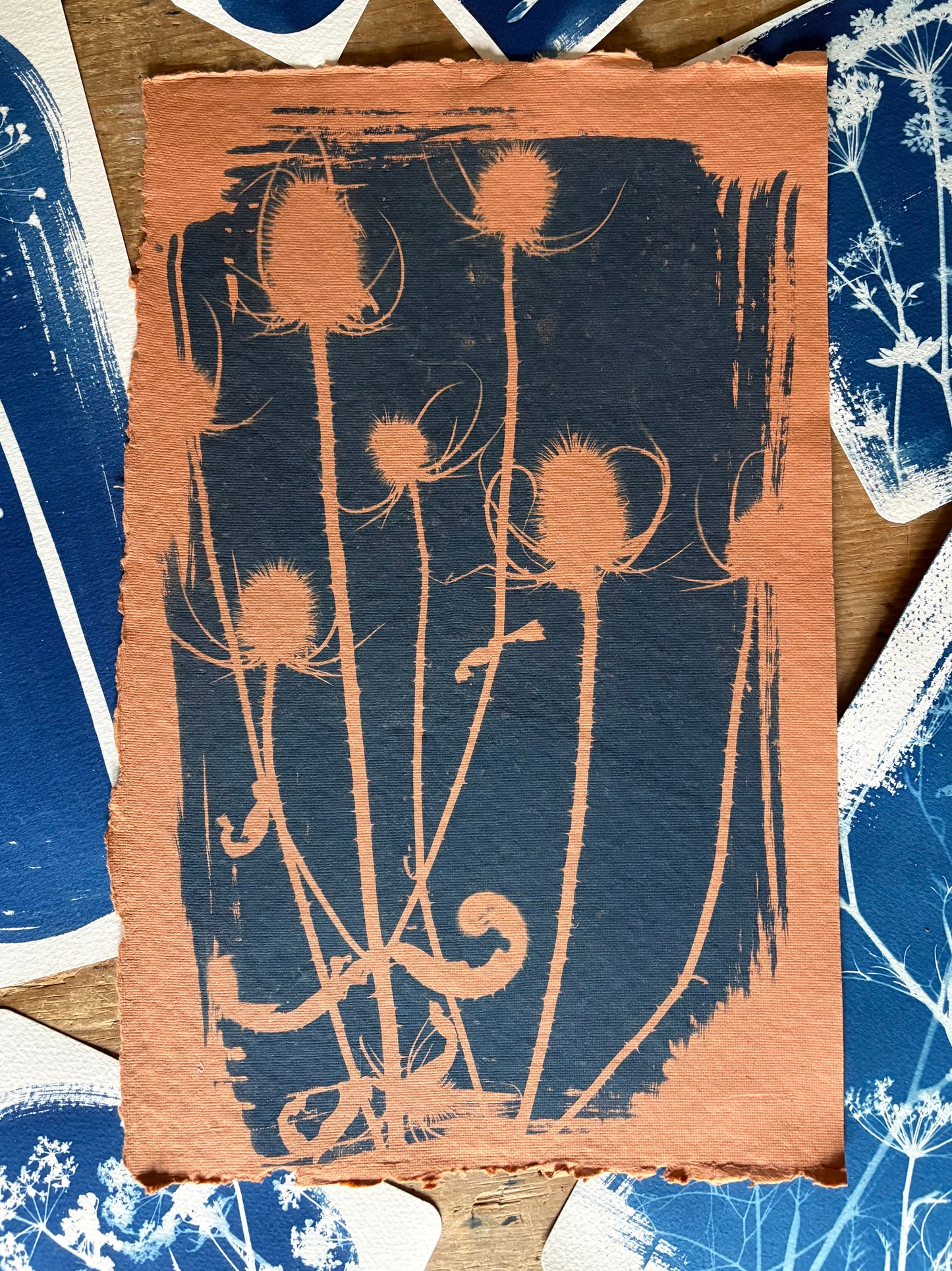 Orange Teasel (25x40cm) Original Print