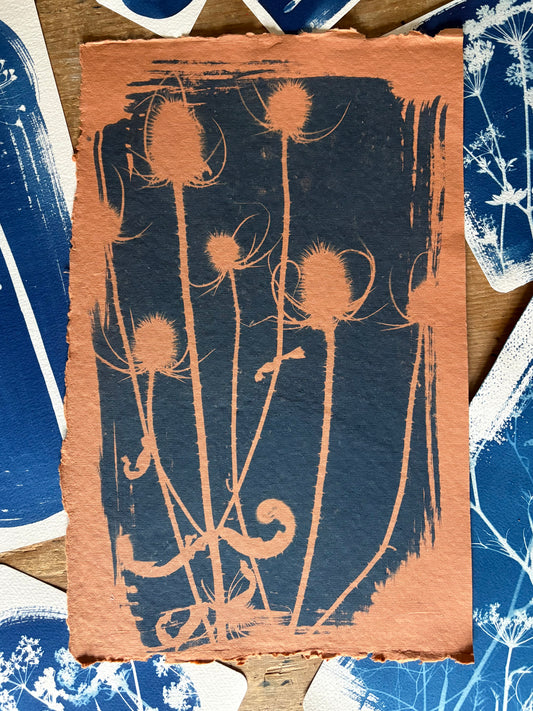 Orange Teasel (25x40cm) Original Print