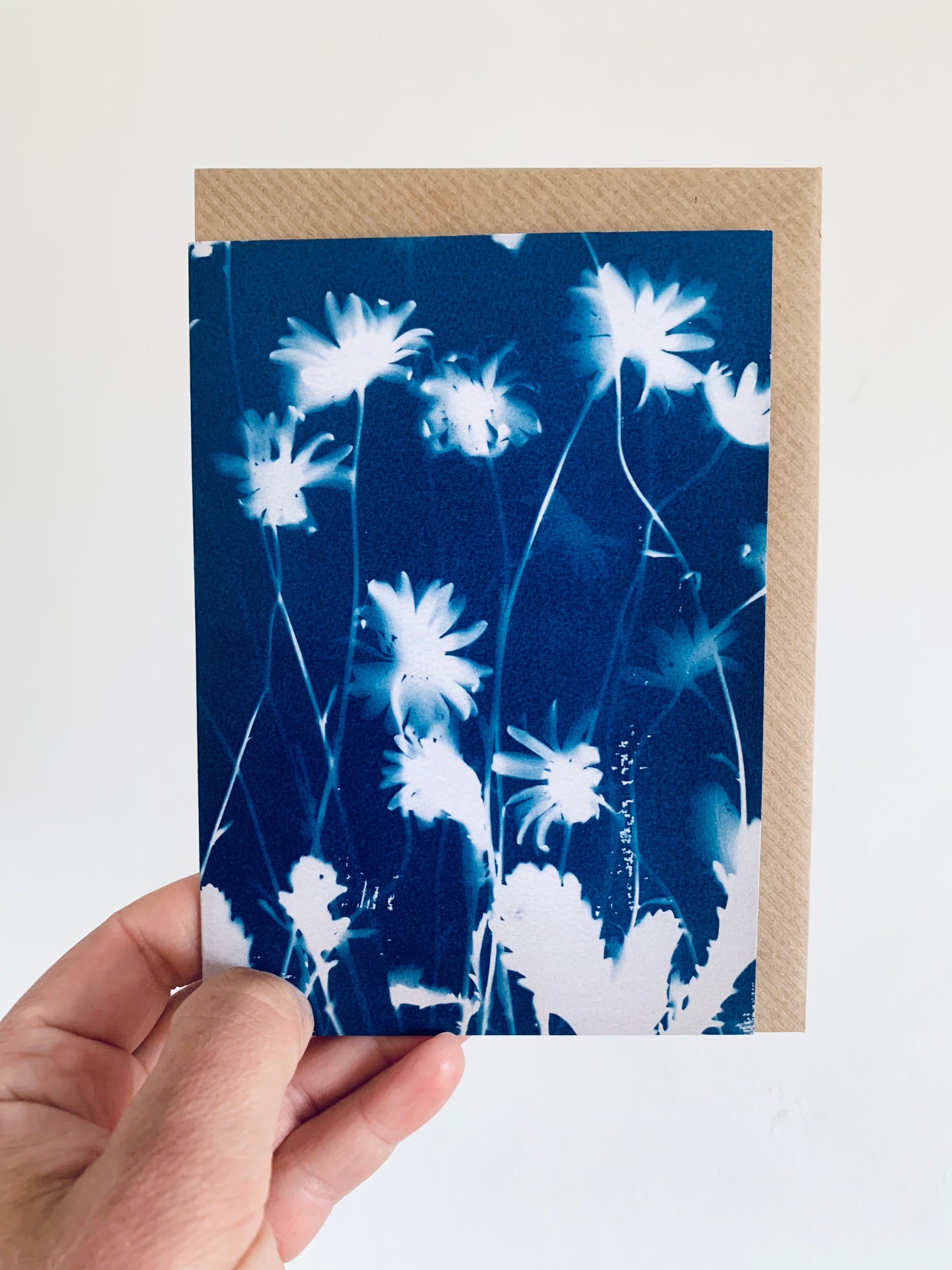 Ox eye view Cyanotype Blank Greetings card of layered fresh Ox Eye Daisies from Danielle East ART