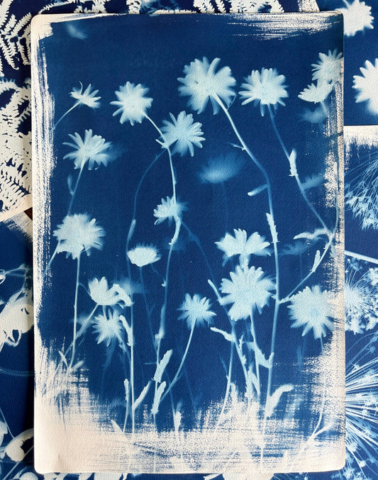 Ox Eye Portrait (15x22") Original Print