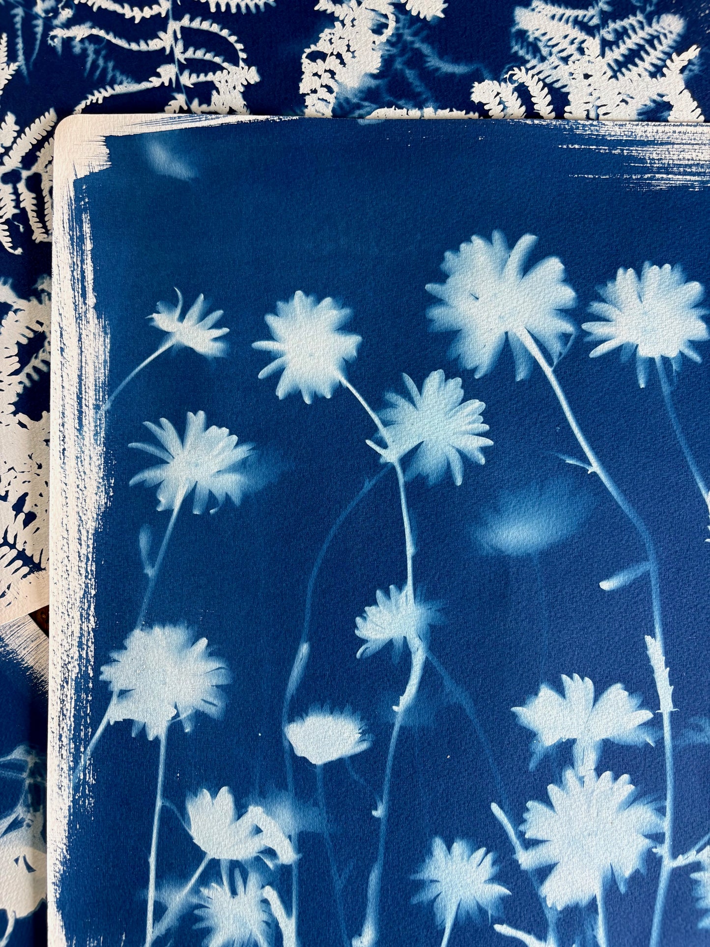 Ox Eye Portrait (15x22") Original Print