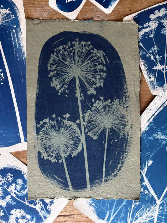 Green Alliums (25x40cm) Original Print