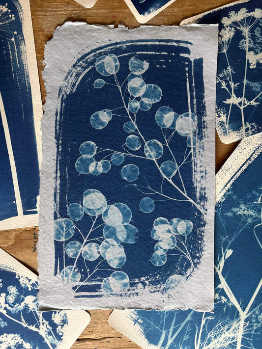 Pale Honesty (25x40cm) Original Print