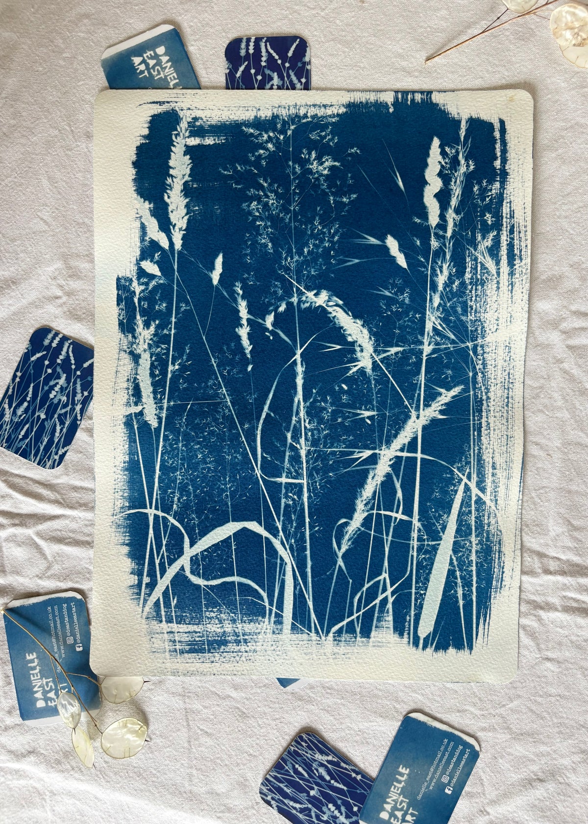 Grasses 28x38cm Original Cyanotype Print