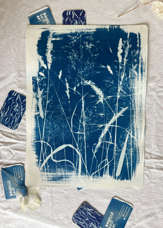 Grasses 28x38cm Original Cyanotype Print