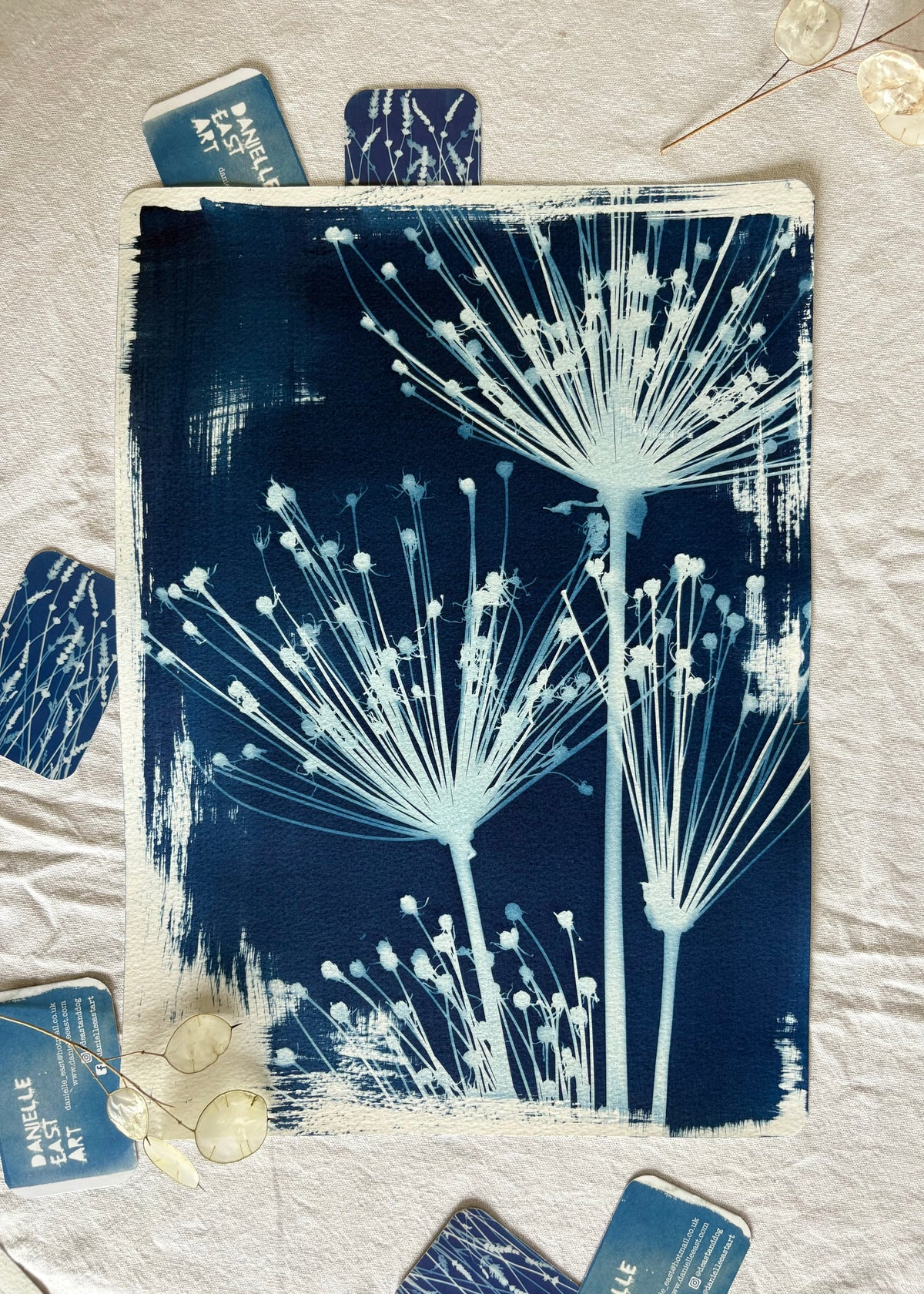 Spider Alliums 28x38cm Original Cyanotype Print