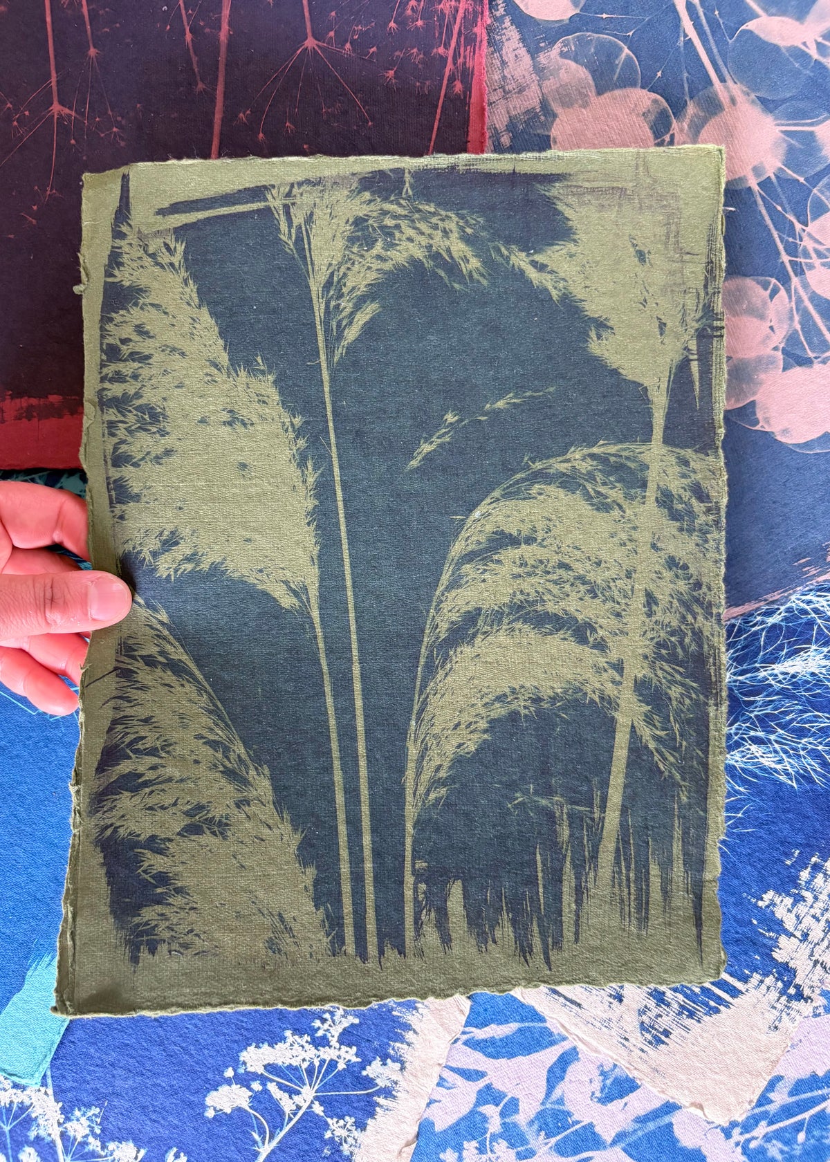 Green Reeds 23x29cm - Original Print  - SALE