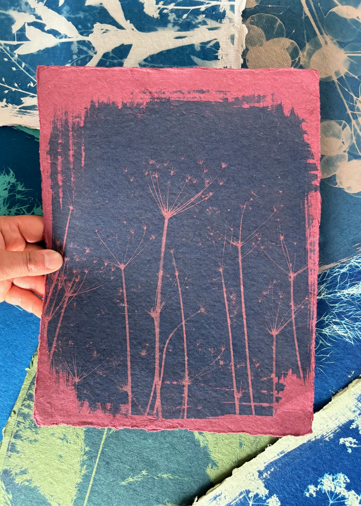 Maroon Parsley 23x29cm - Original Print  - SALE