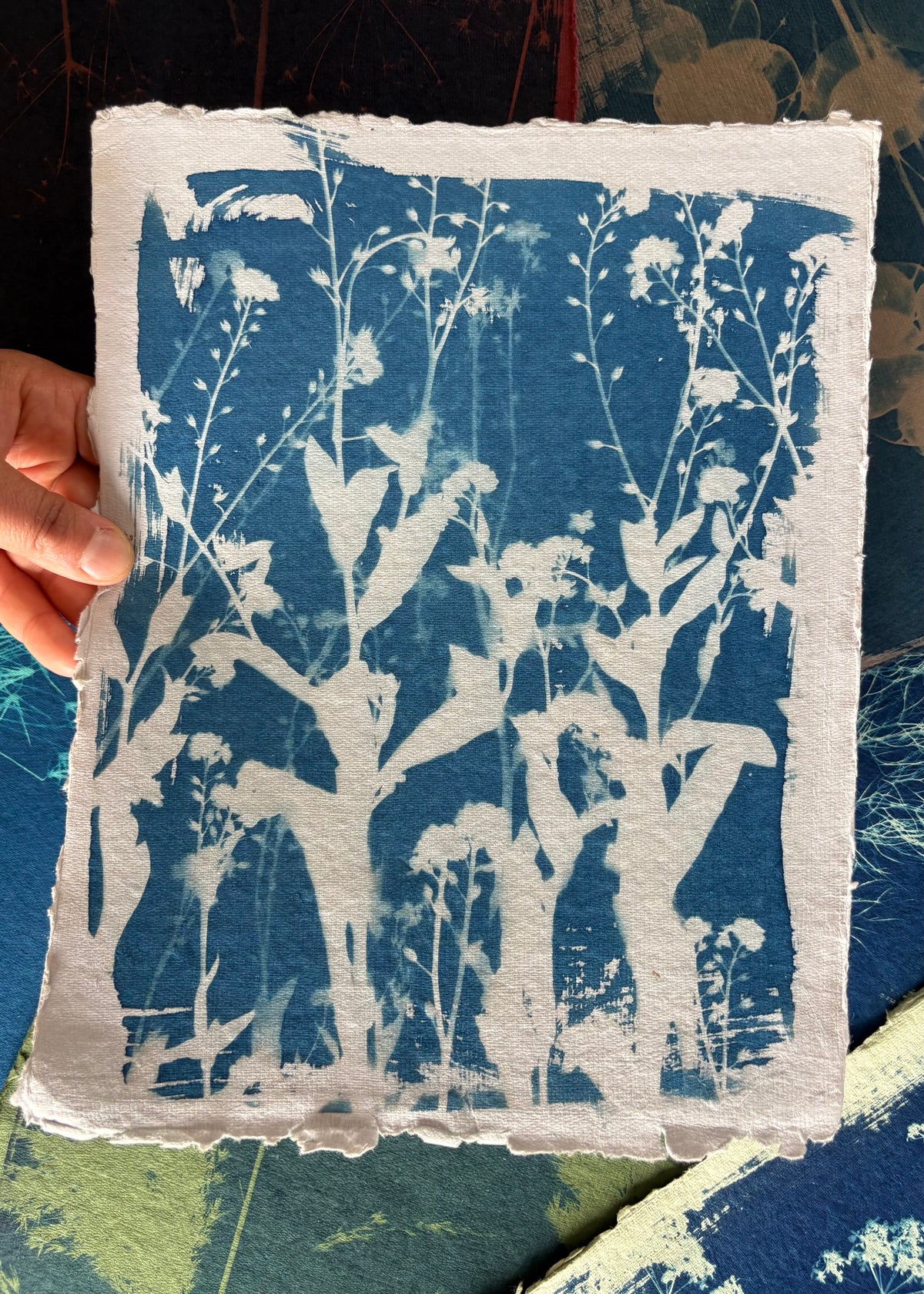 Forget me nots 23x29cm - Original Print  - SALE