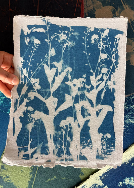 Forget me nots 23x29cm - Original Print  - SALE