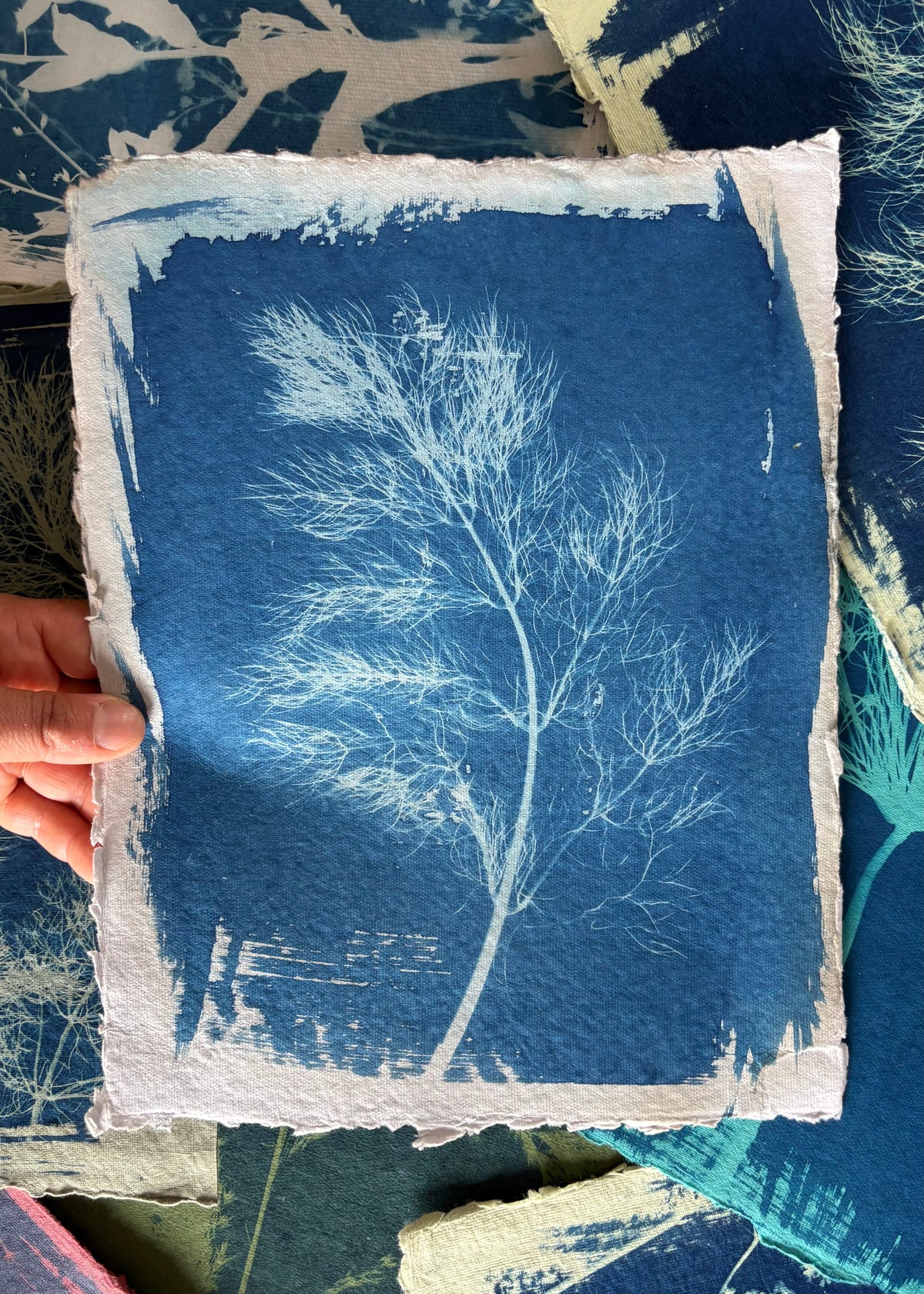 Fennel Leaves blue/grey 23x29cm - Original Print  - SALE