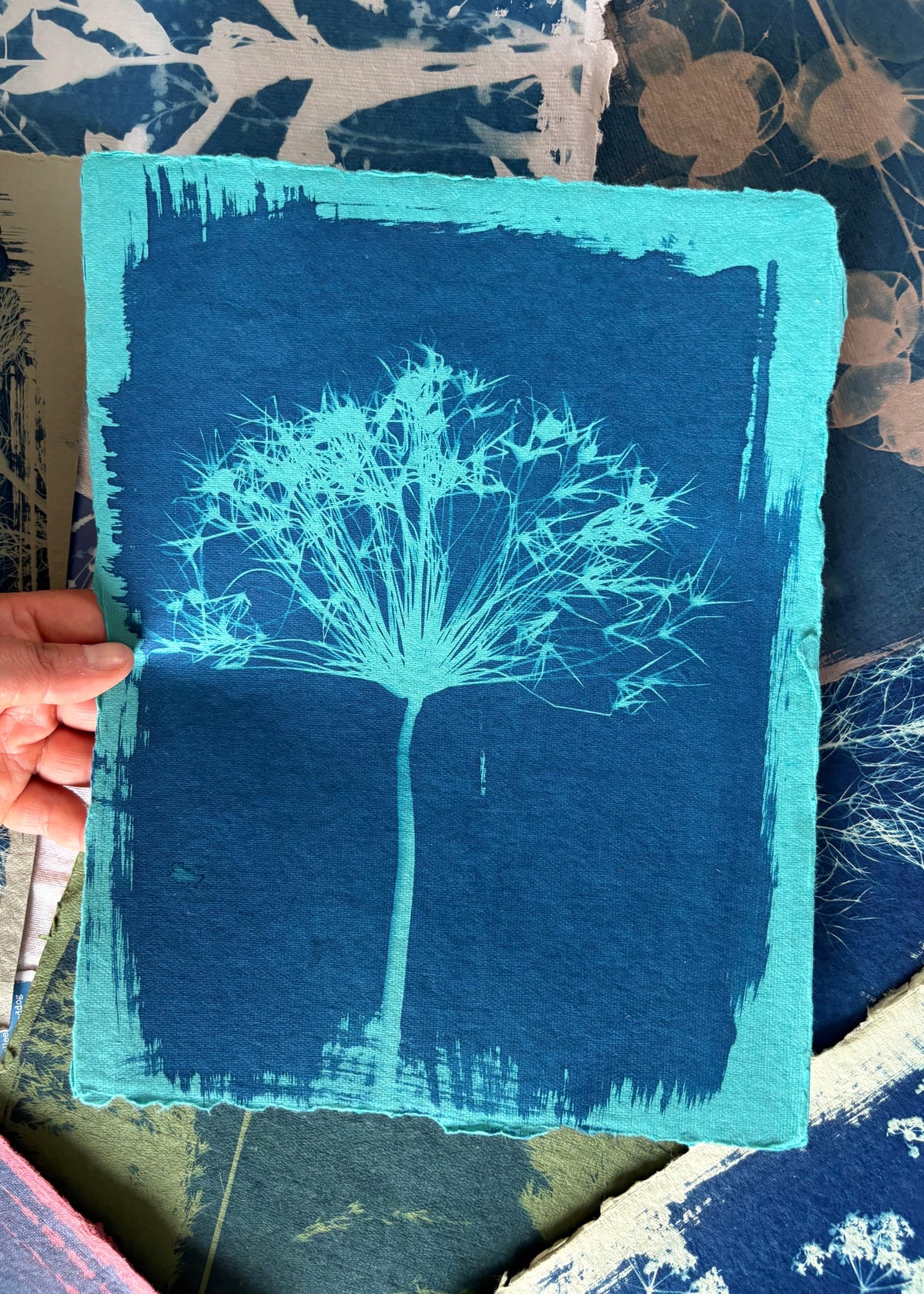 Bright blue Allium 23x29cm - Original Print  - SALE