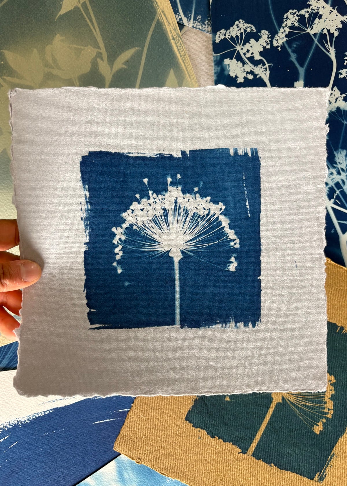 Pale Blue Allium 22x22cm - Original Print  - SALE