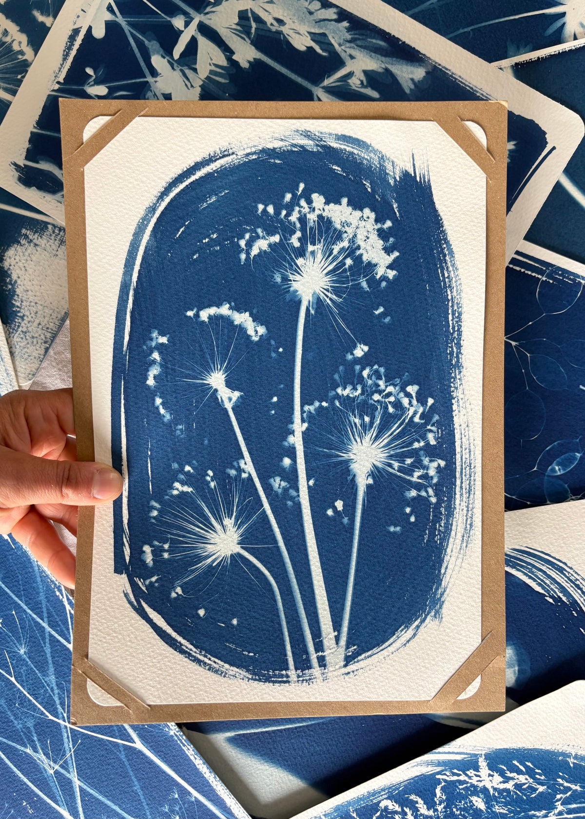 4 Alliums 28x19cm (approx) Original Print SALE