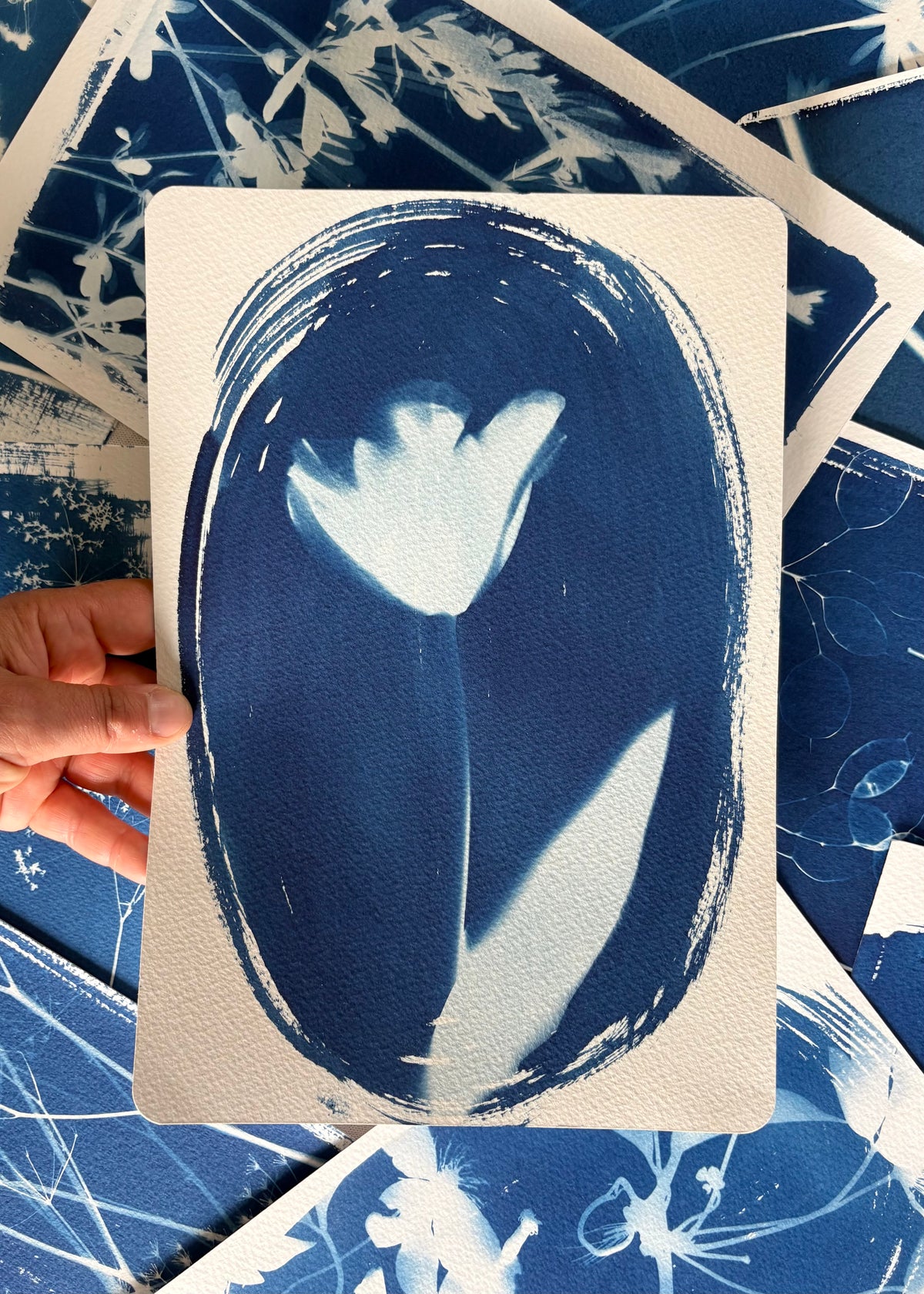 Tulip Oval 28x19cm (approx) Original Print SALE