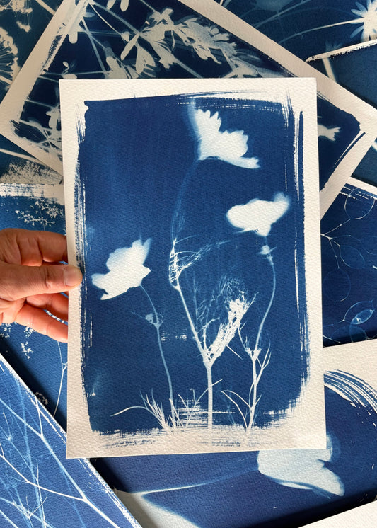 Cosmos experiment 28x19cm (approx) Original Print SALE