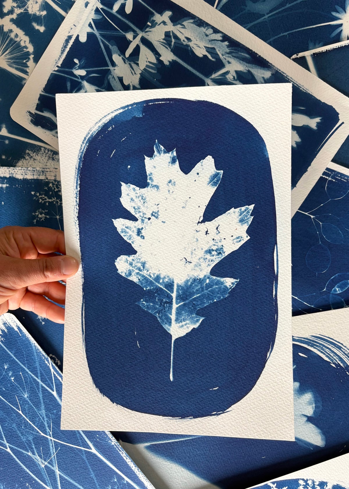 Leaf 28x19cm (approx) Original Print SALE