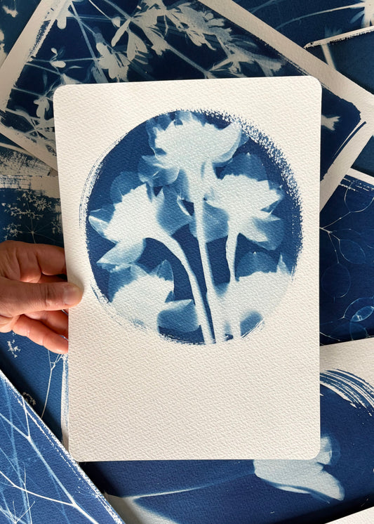 Daffs 28x19cm (approx) Original Print SALE