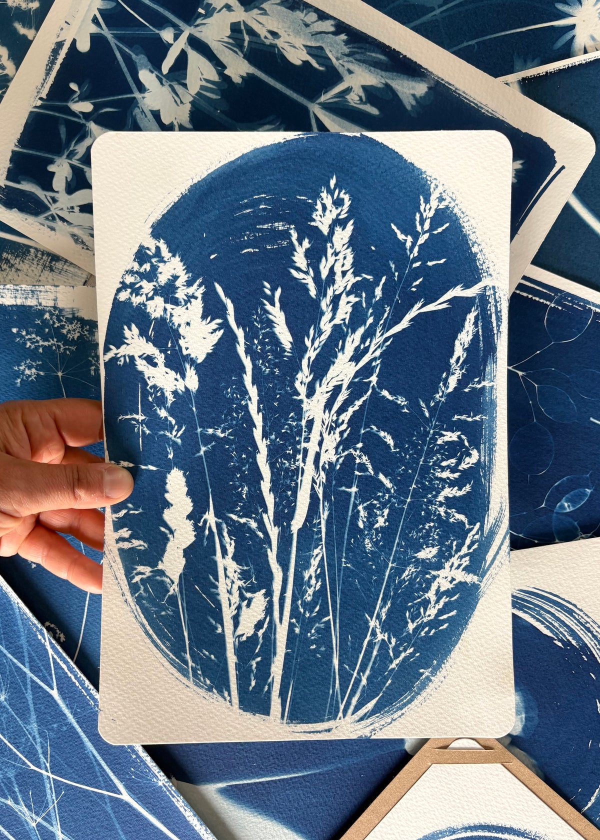 Grass Oval 28x19cm (approx) Original Print SALE