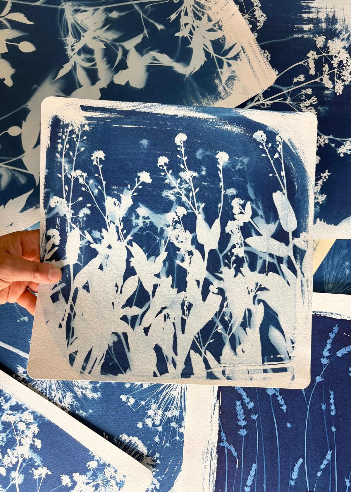 forget me nots 28x28cm - Original Print  - SALE