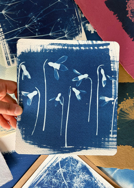 Snow Drops 18x20cm - Original Print  - SALE