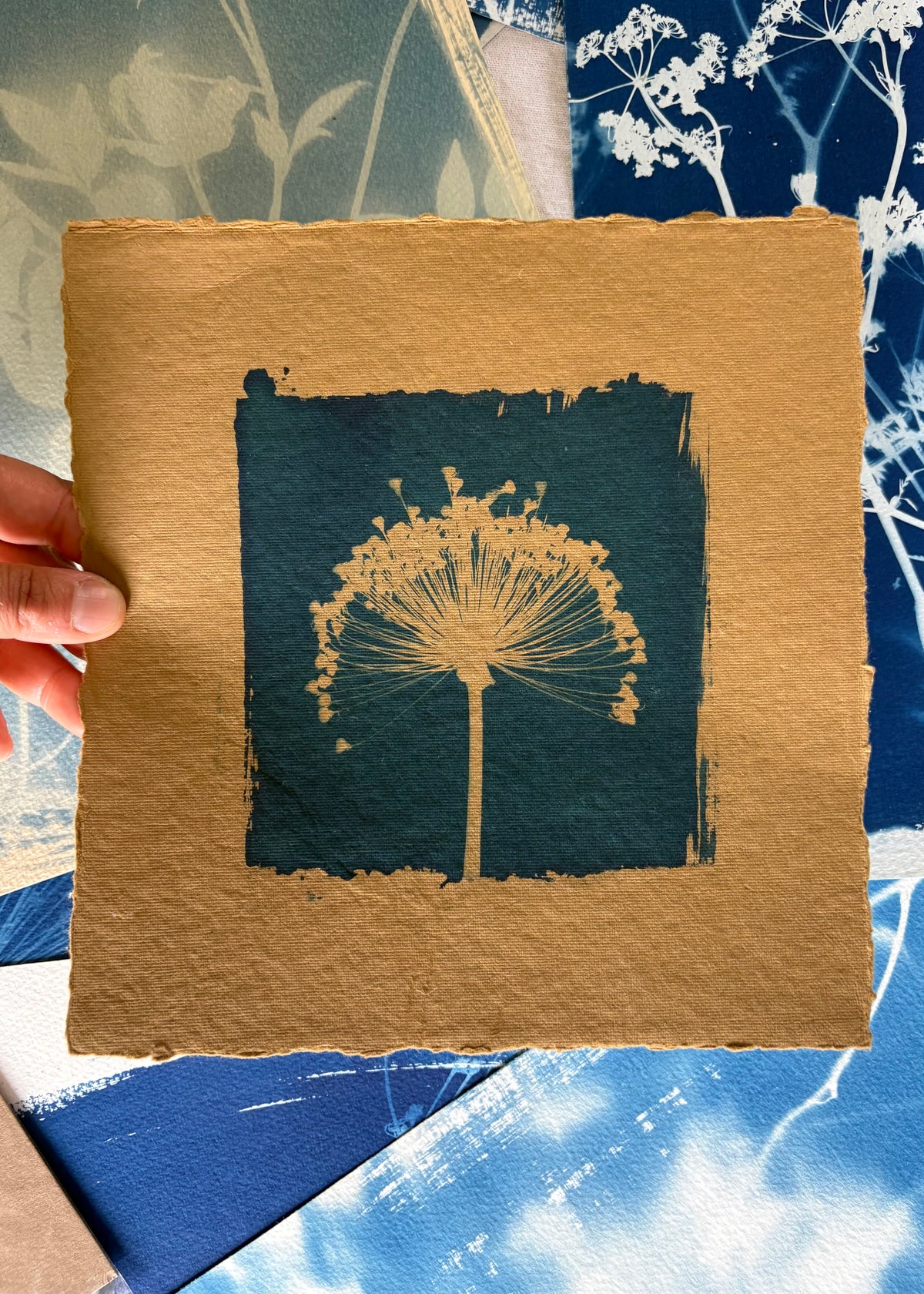 Camel Allium 22x22cm - Original Print  - SALE
