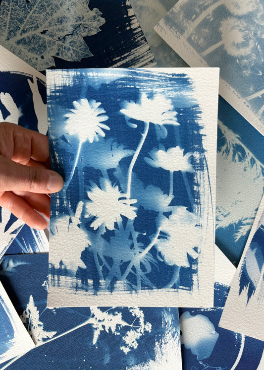 Ox Eye Daisies 14x19cm - Original Print  - SALE