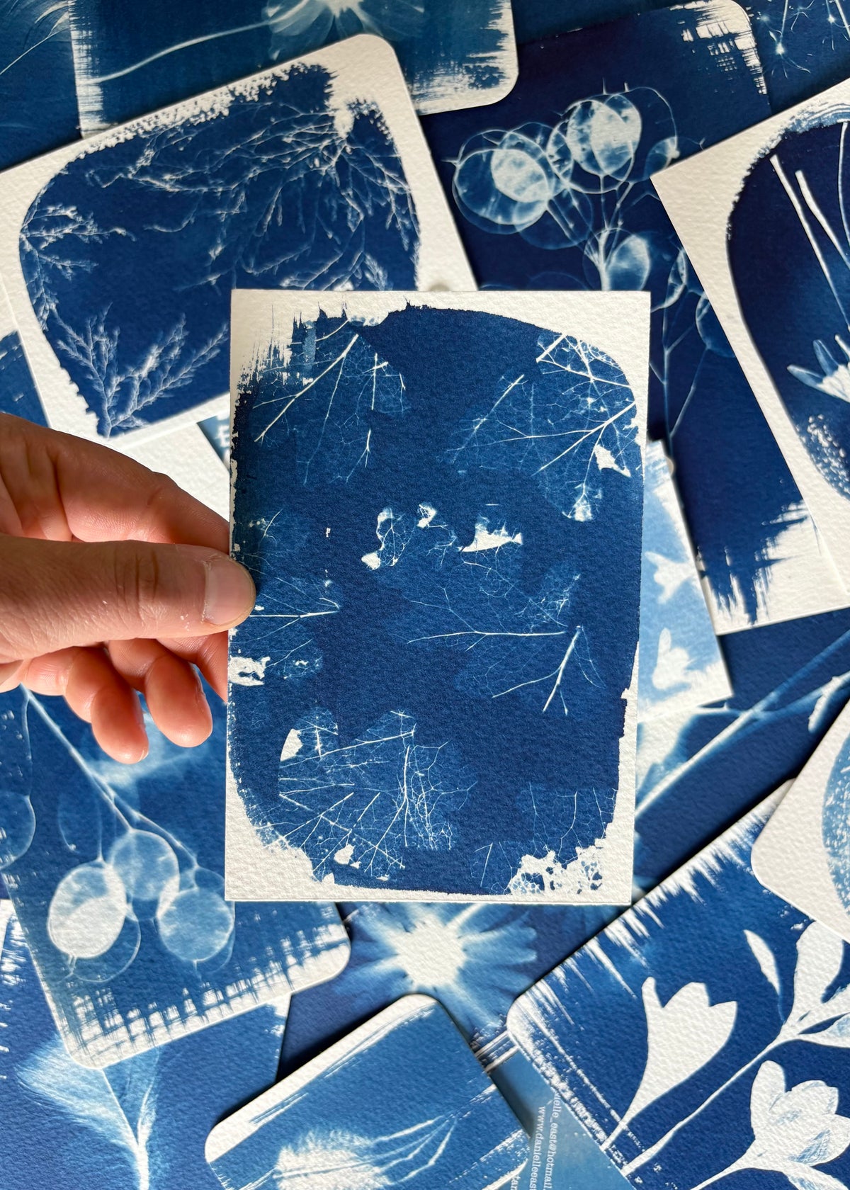 Oak Leaves Double Exposure 9.5x14cm - Original Print  - SALE