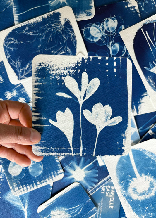 Crocus 3 12.5x12.5cm - Original Print  - SALE