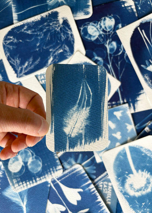 Feather i 7x9.5cm - Original Print  - SALE