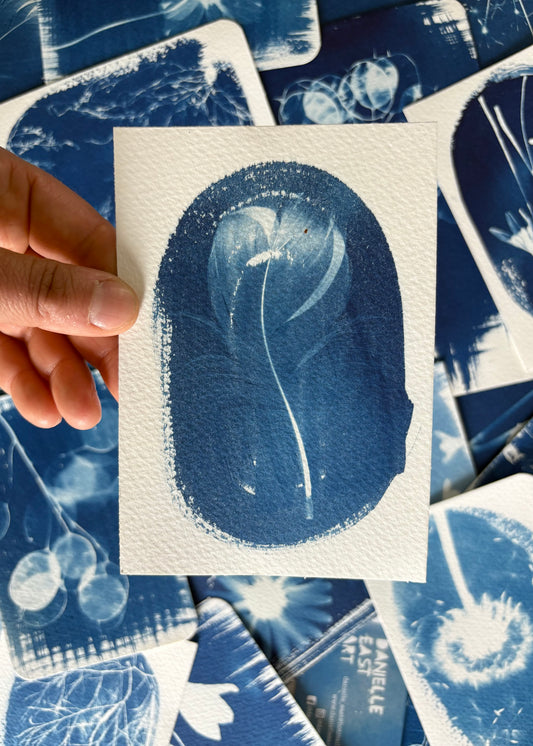 Goose Feather 9.5x14cm - Original Print  - SALE