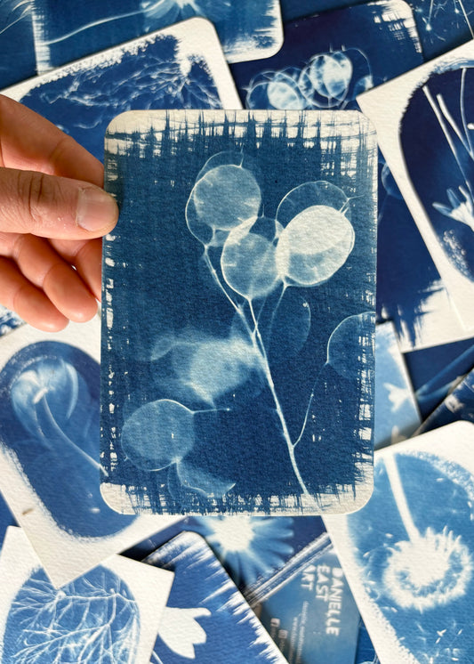 Honesty 9.5x14cm - Original Print  - SALE