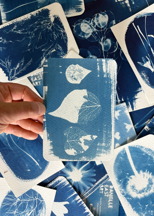 Leaf Skeletons 9.5x14cm - Original Print  - SALE