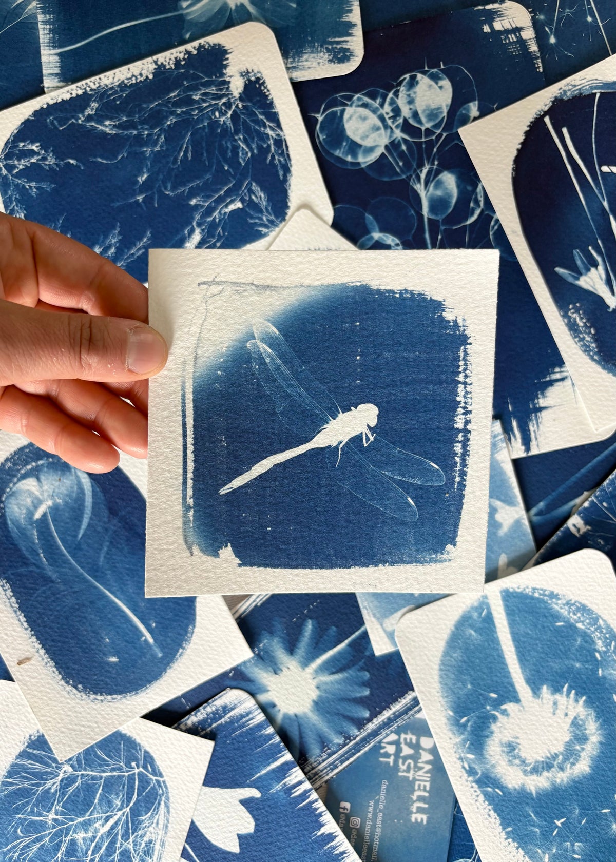 leaf skeletons 9.5x14cm - Original Print  - SALE