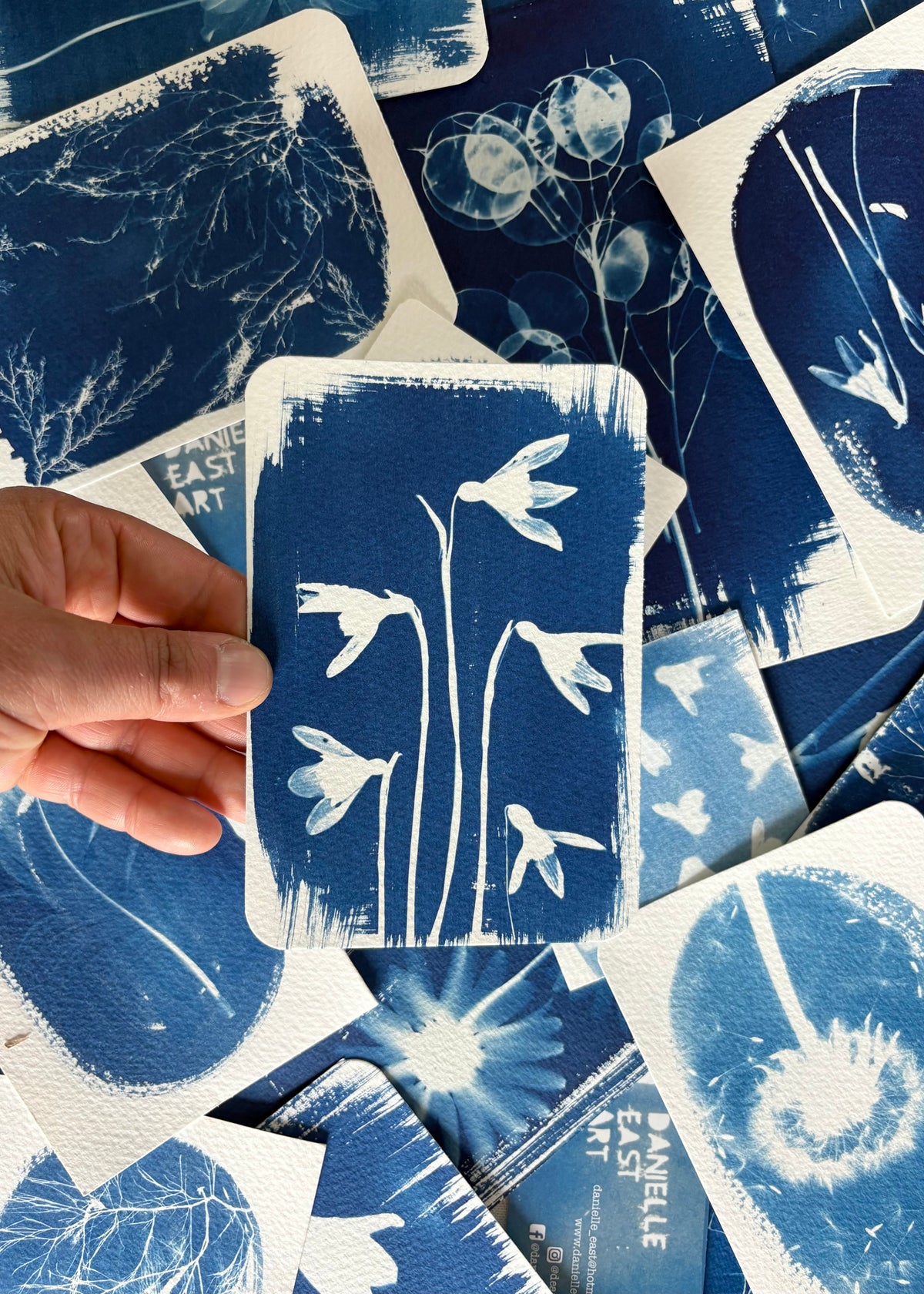 Snow Drop 5 9.5x14cm - Original Print  - SALE