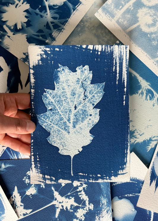 Leaf trial 14x19cm - Original Print  - SALE