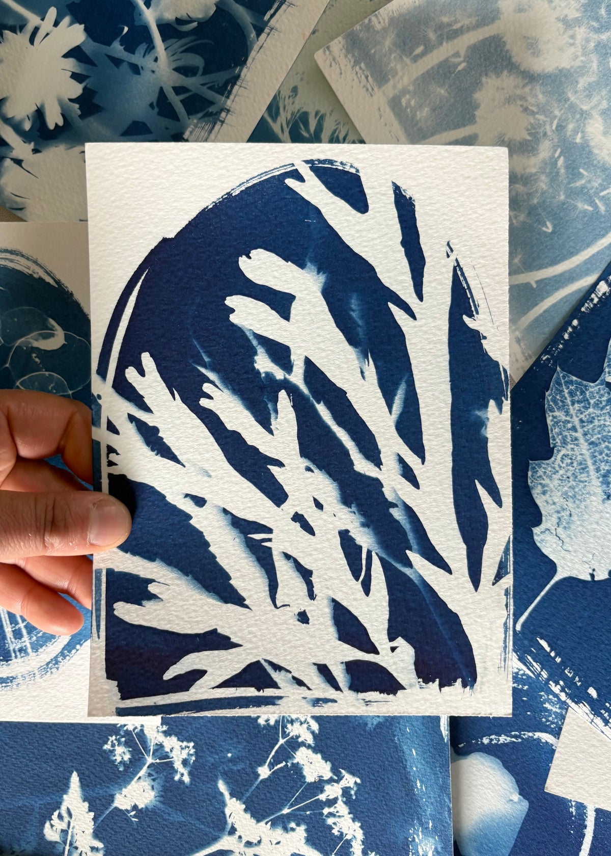 Seaweed Experiment 14x19cm - Original Print  - SALE