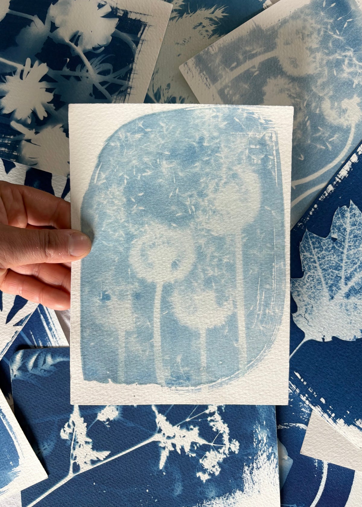 Dandelions 14x19cm - Original Print  - SALE