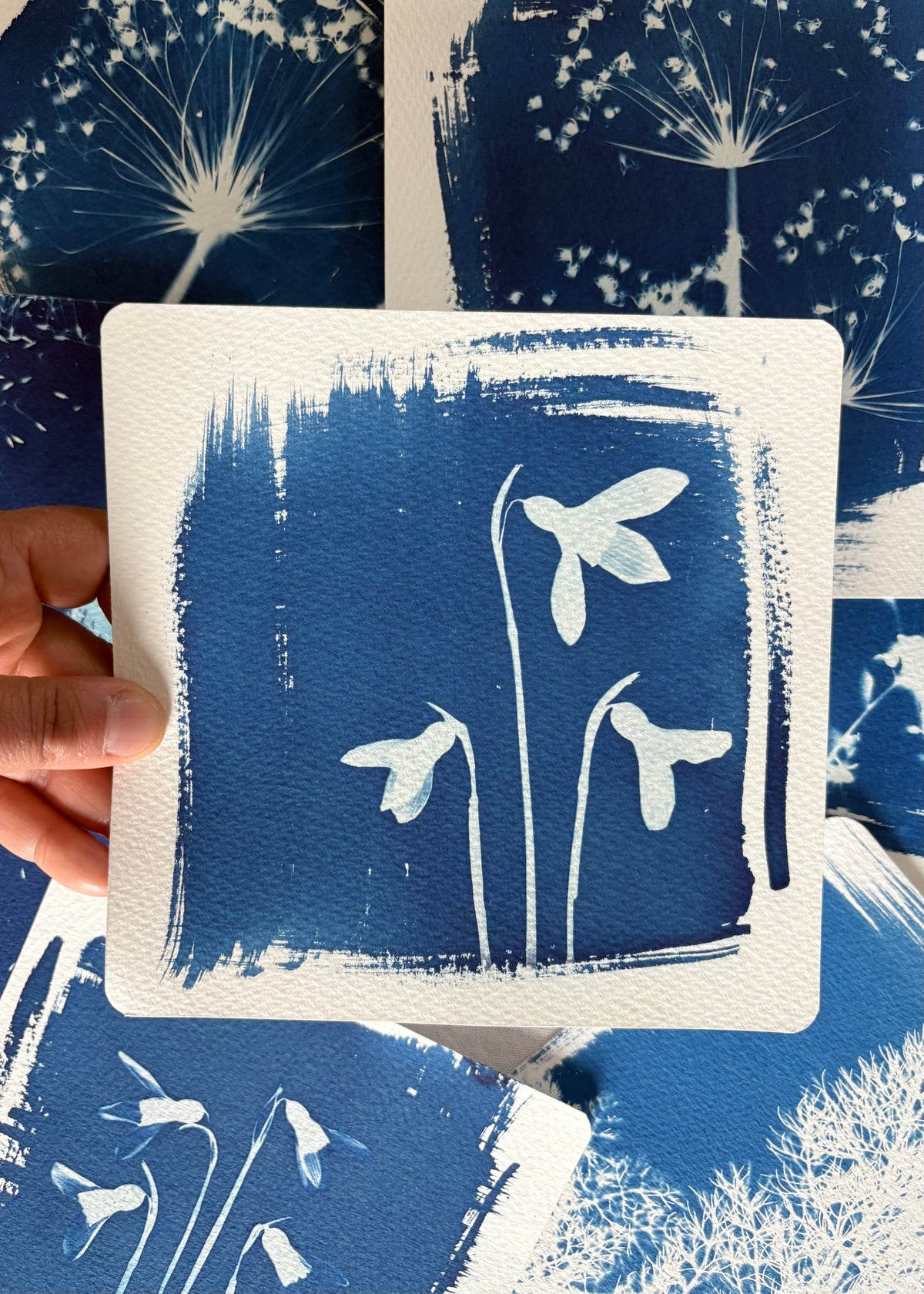 Snow Drop trio 18x18cm - Original Print  - SALE