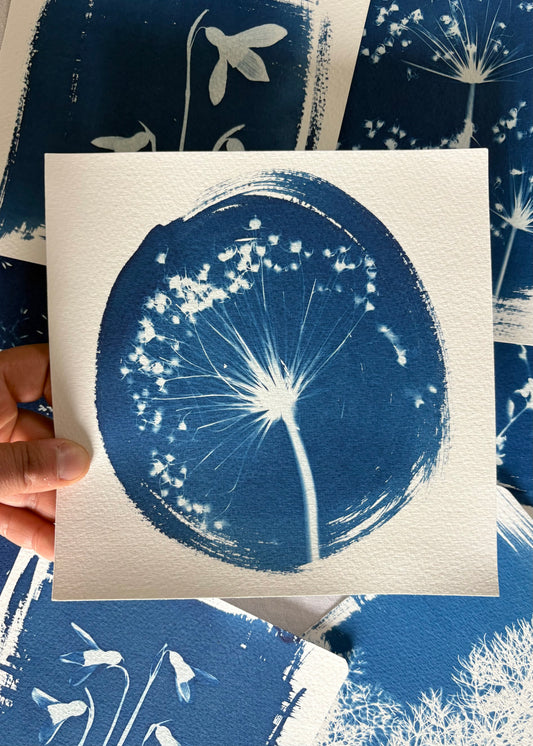 Allium round 18x18cm - Original Print  - SALE