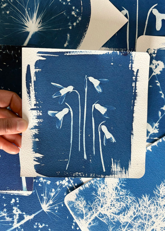 Snow Drop 5 18x18cm - Original Print  - SALE