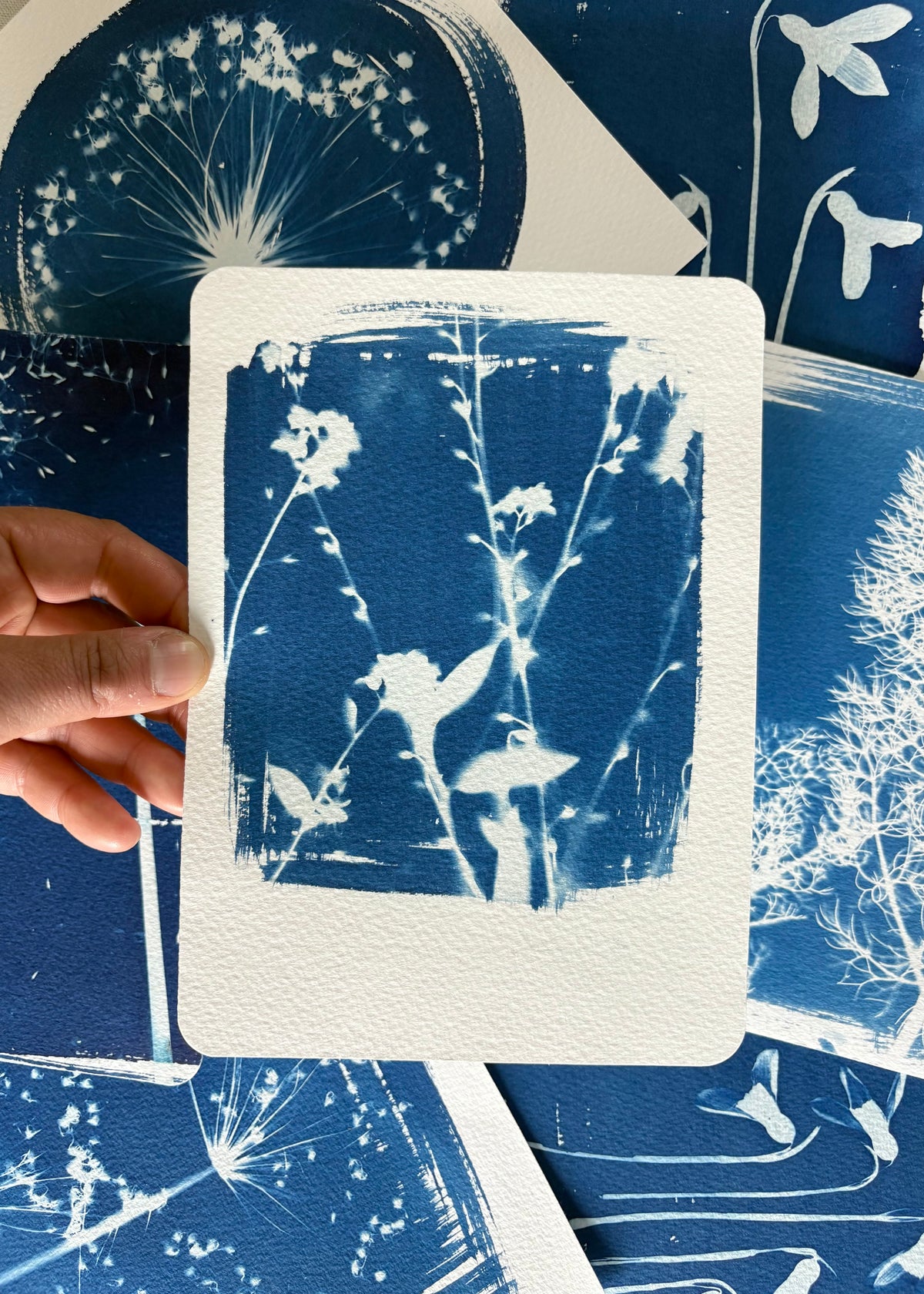 Forget me not polaroid 14x19cm - Original Print  - SALE
