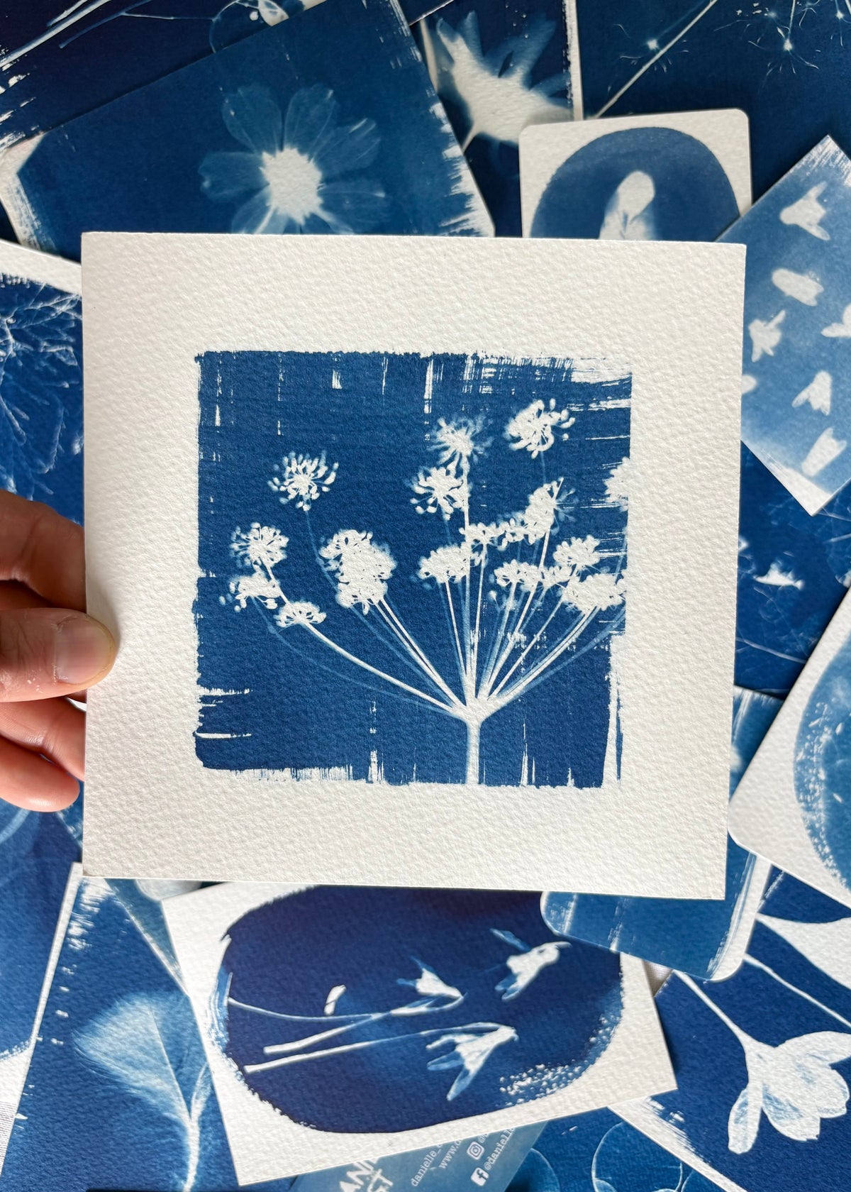 Fennel 15x15cm - Original Print  - SALE