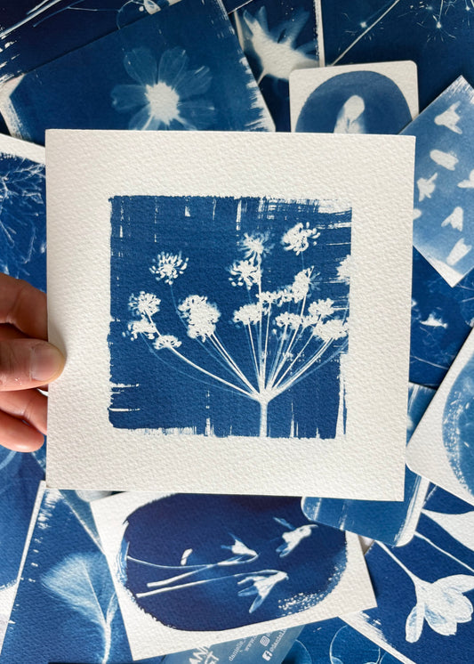 Fennel 15x15cm - Original Print  - SALE