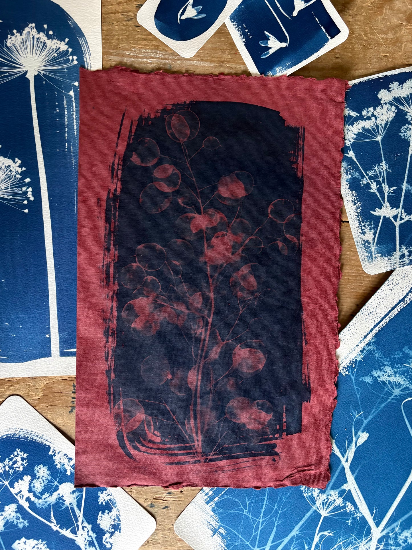 Red Honesty (25x40cm) Original Print