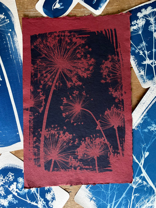 Red Alliums (25x40cm) Original Print