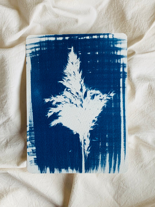 Reed (14x19cm) Original Cyanotype Print