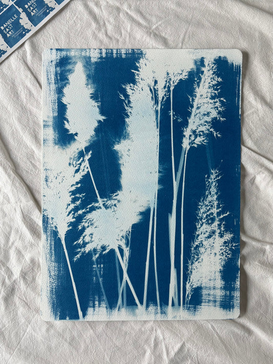 Reeds 38x28cm Original Cyanotype Print